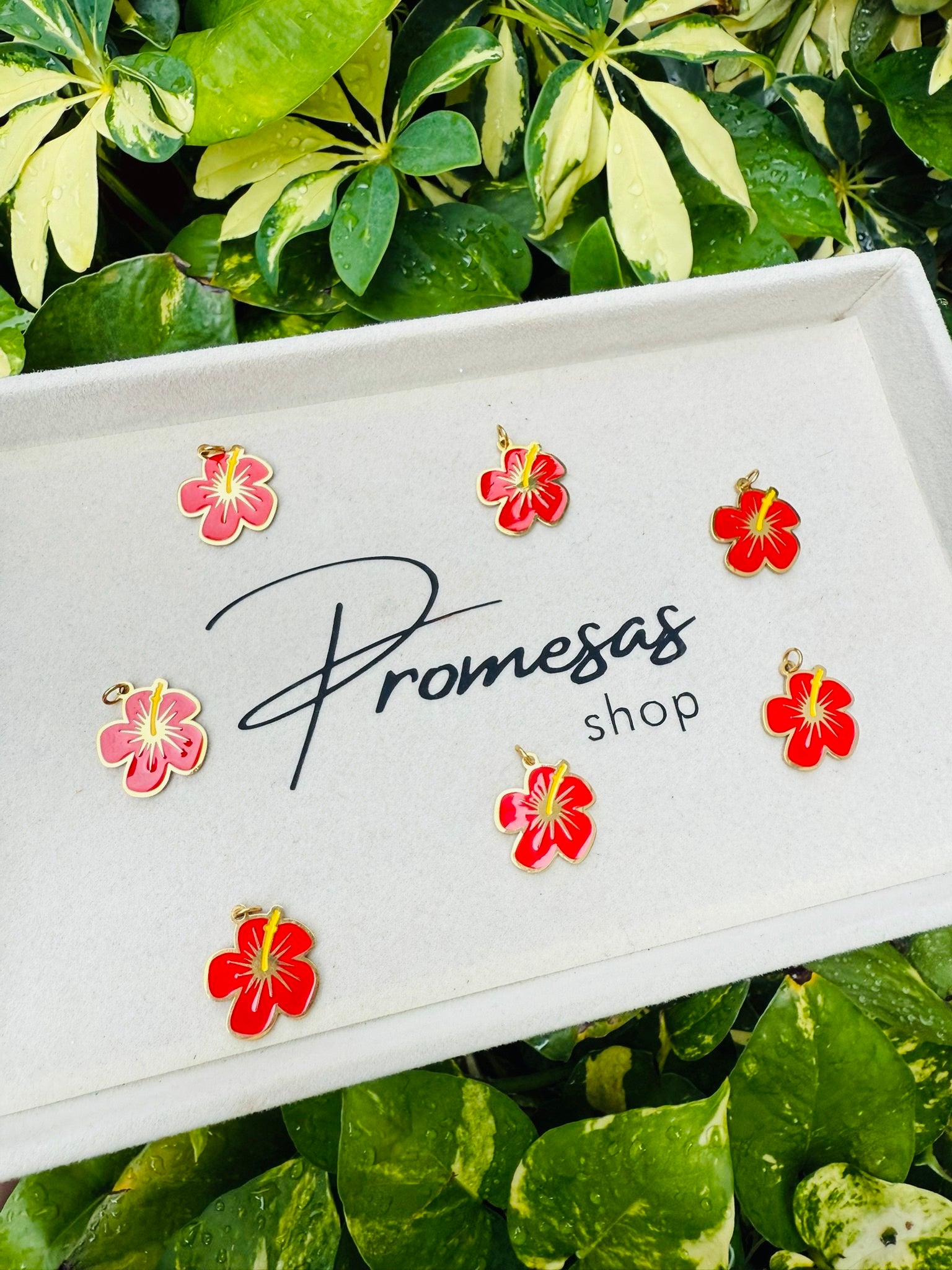 Amapola Charm