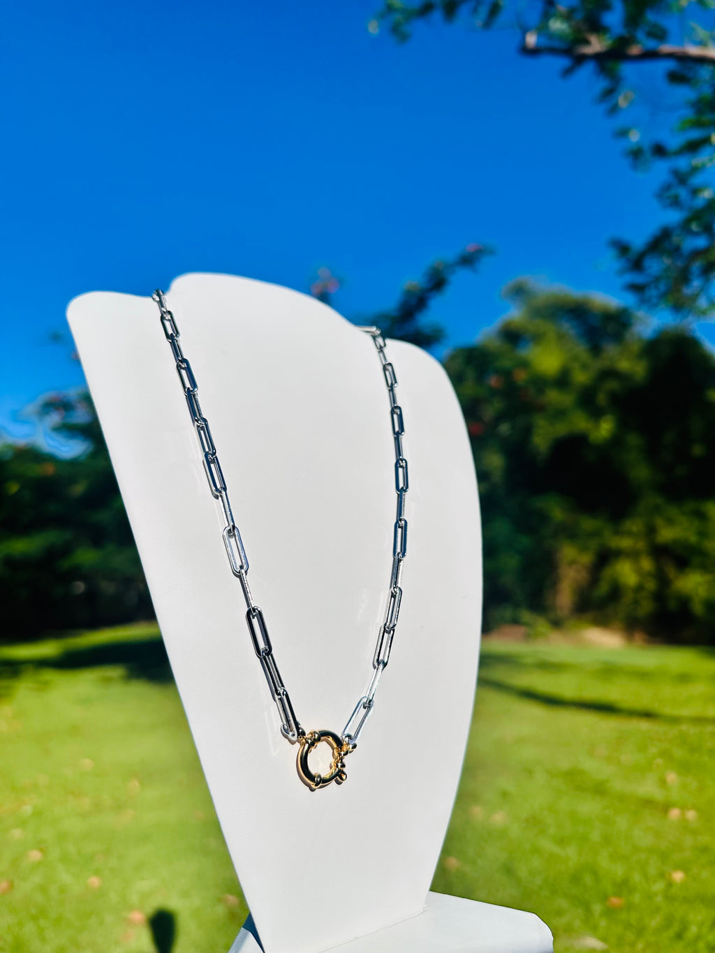 Steel and Gold Necklace