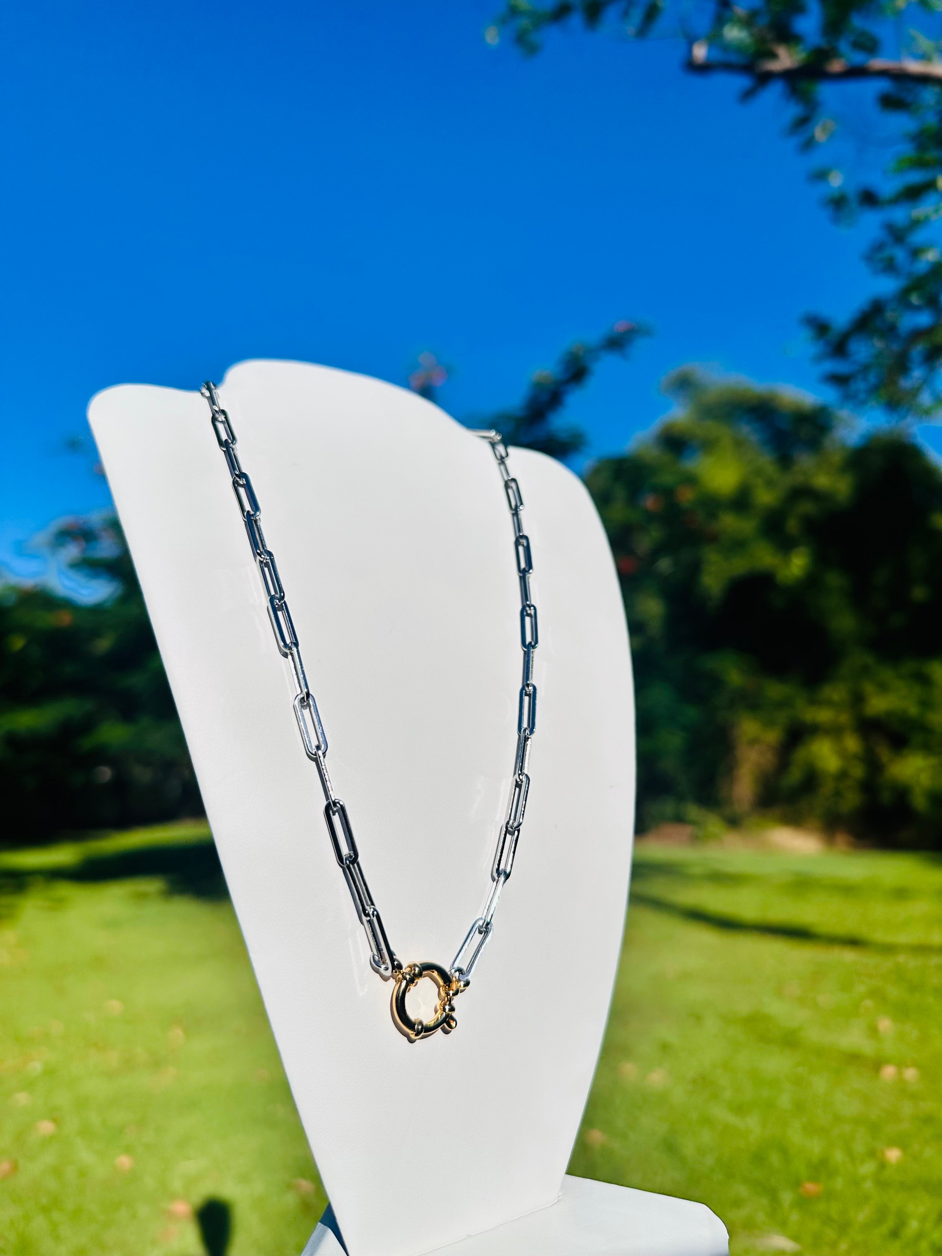 Steel and Gold Necklace