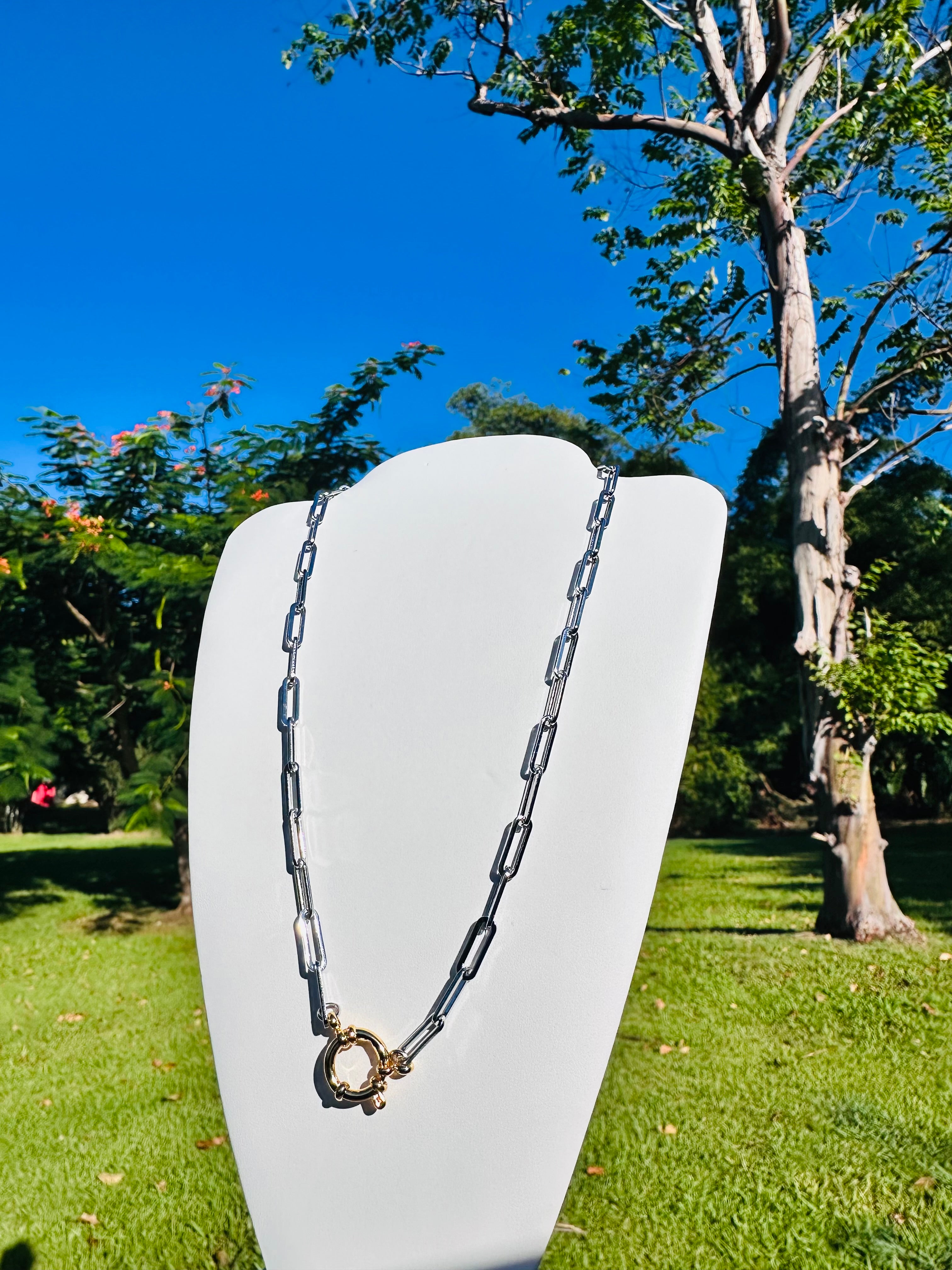 Steel and Gold Necklace