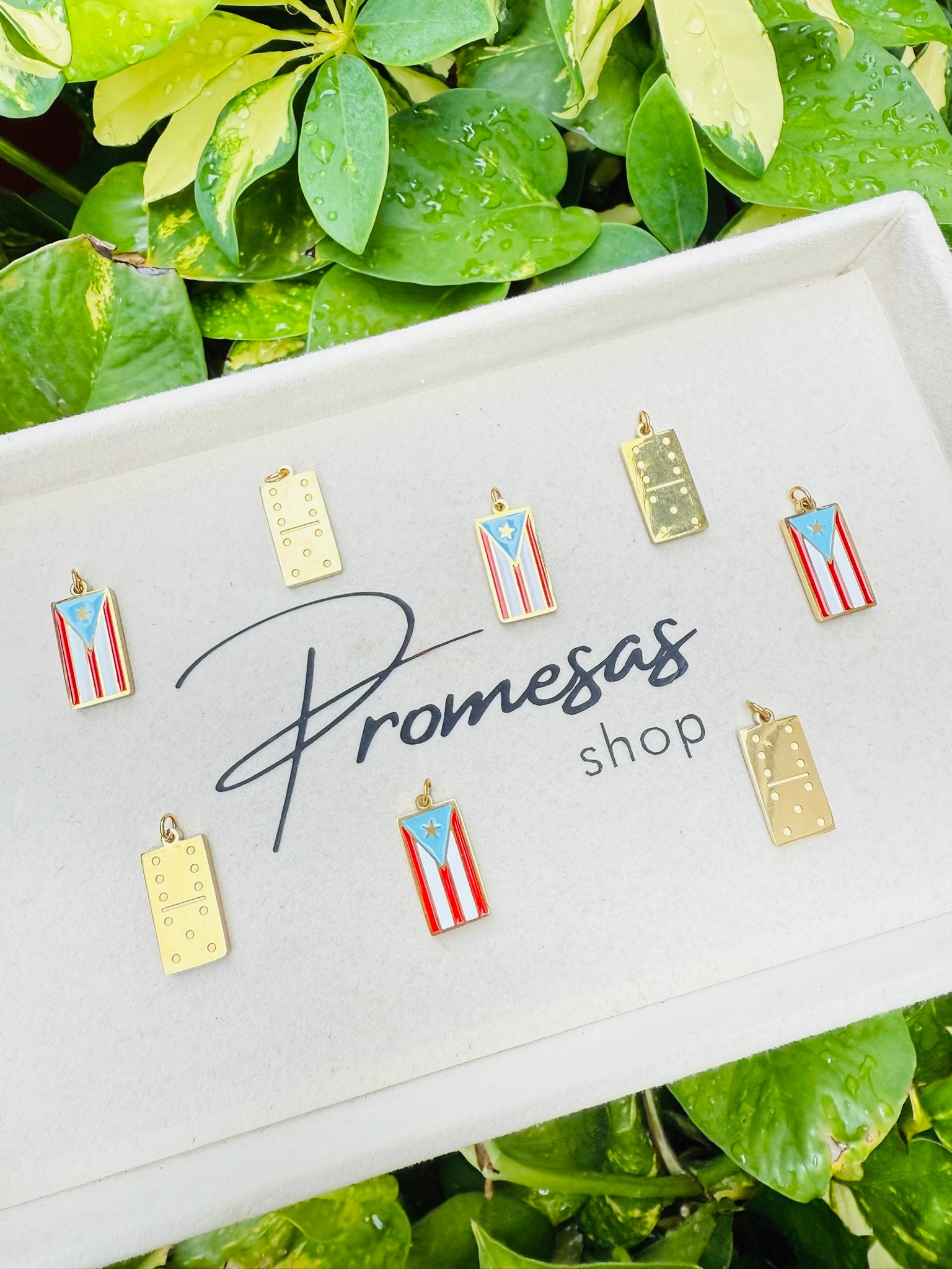 Puerto Rico & Dominó